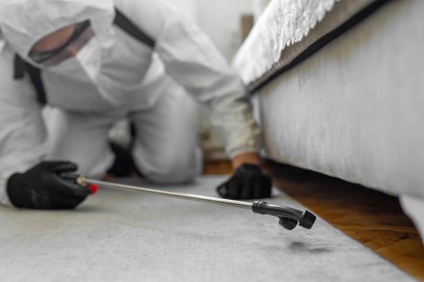 Professional Pest Control technician working in Berlin, NH