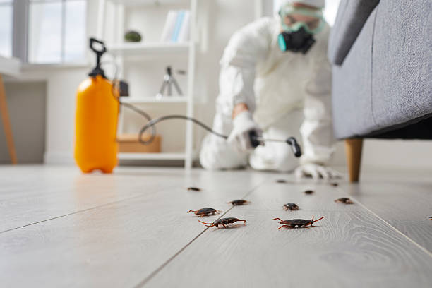 Trusted Fumigation Services service in Berlin, NH - Nex Pest Control